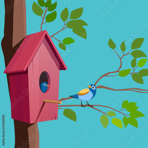 Bird house and birds on tree