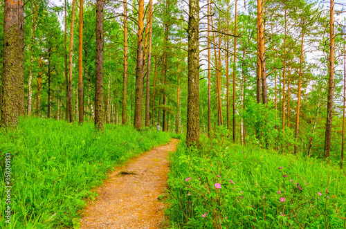 Photography People on an inflatable raft float on the river among the mountains and forests in summer