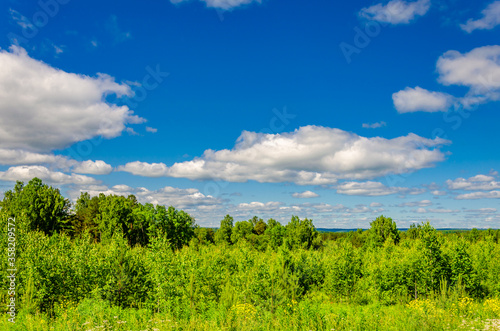 Sky with clouds and green forest in summer.