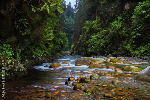  Lynn Creek - stream running through the stony bottom of narrow and deep canyon overgrown with green forest. This place is located in Lynn Canyon Park North Vancouver 