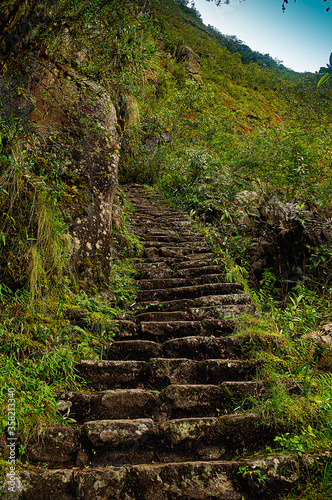 Inca trail in the middle of the jungle and mountains © Nicolas