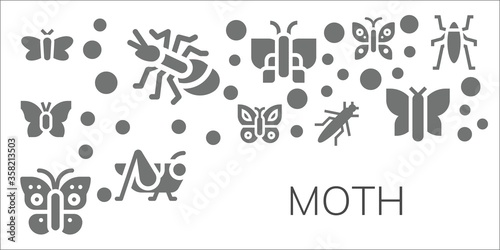 moth icon set