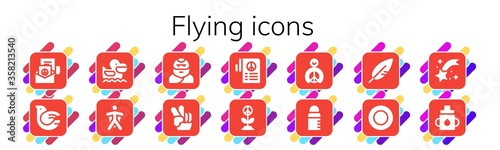 flying icon set