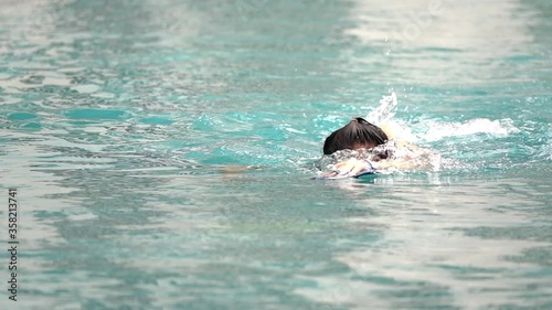 Wallpaper Mural slow motion swimming Torontodigital.ca