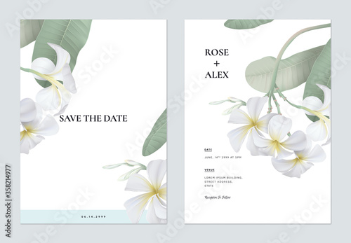 Floral wedding invitation card template design, white plumeria flowers  with leaves on white photo