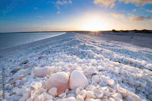 Summer holiday sunrise in Shell Beach, Monkey Mia, Shark bay Western Australia