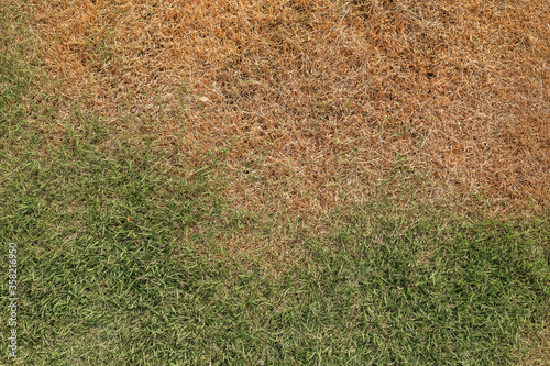 The lawn is dry dead.