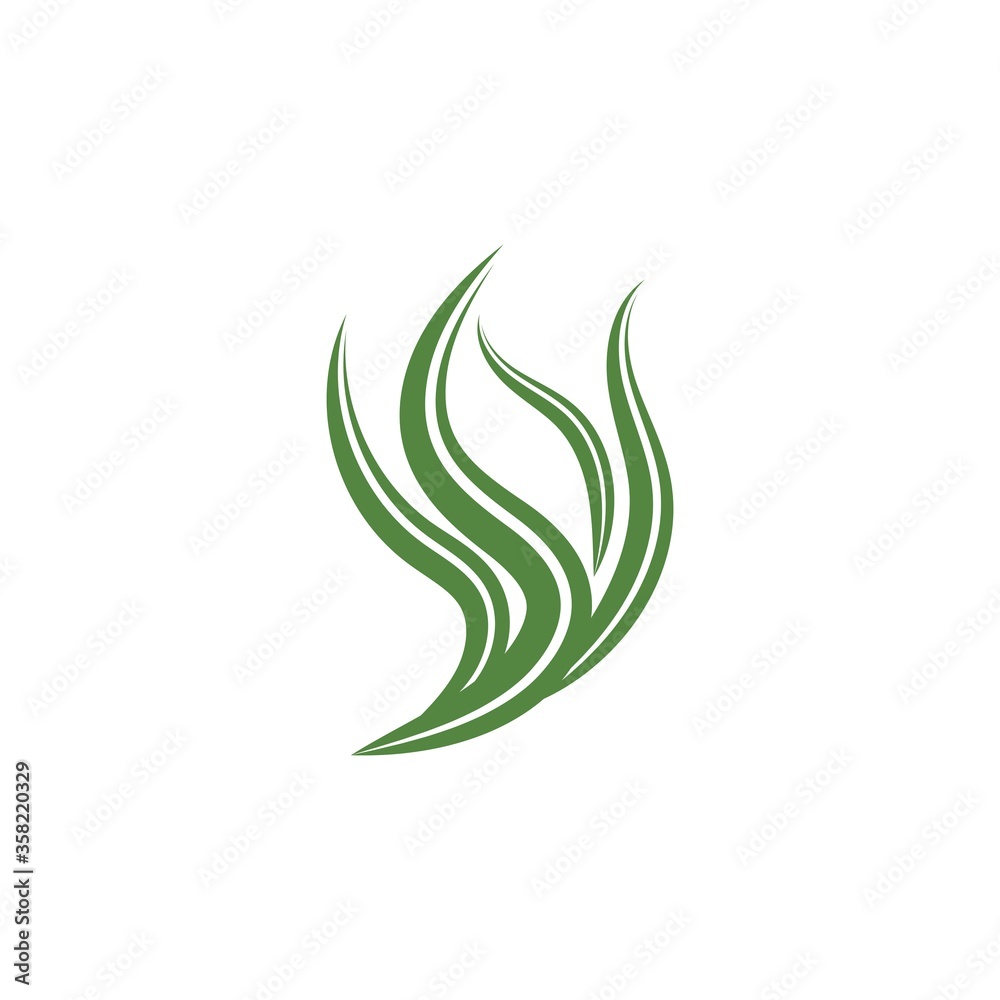 Spirulina seaweed leaf logo illustration Spirulina seaweed leaf logo illustration