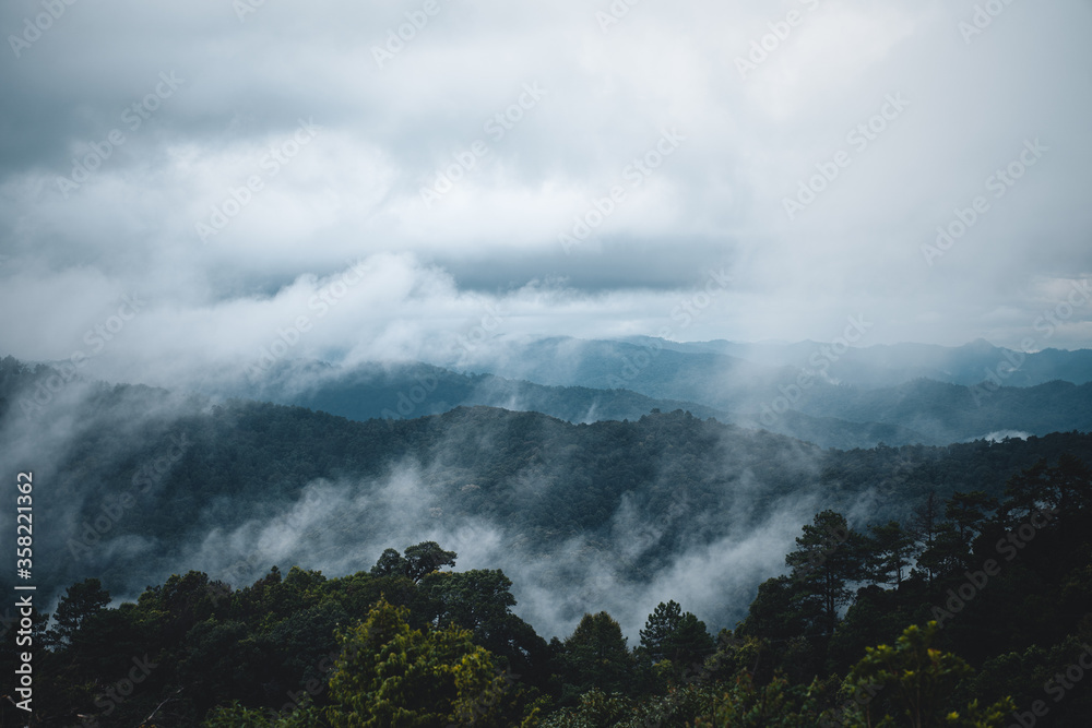 Mountains and green trees in the rainy day