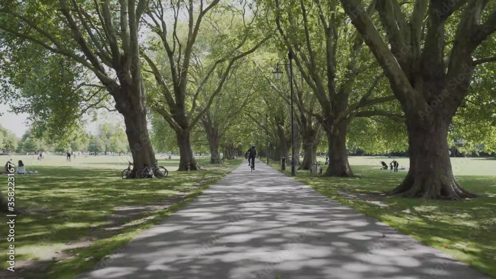 Beautiful path in the park of Cambridge city in england. Green grass, big trees in both sides. Beautiful path in the park of Cambridge city in england. Green grass, big trees in both sides.