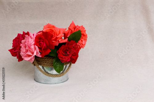 Beautiful bouquet of colorful roses in rounded metal box isolated on pink background with free copyspace for text,image for greeting holiday card,wallpaper,calendar,poster,spring floral postcard