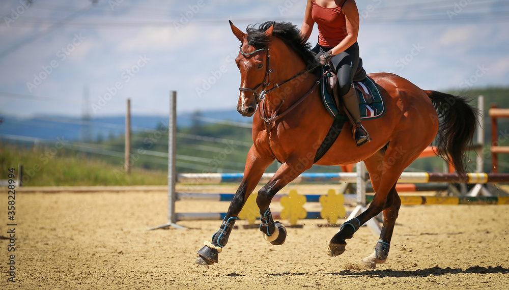 Obraz premium Horse with rider galloping upwards against a blue sky on the right hand..