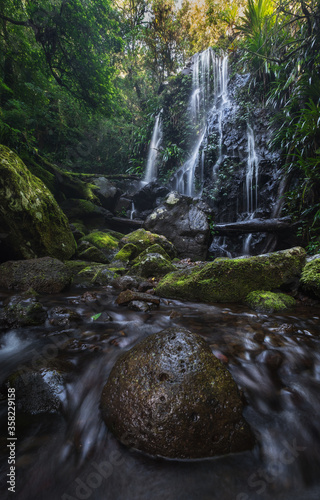 Fototapeta Naklejka Na Ścianę i Meble -  Chalahn Falls, Lamington National Park