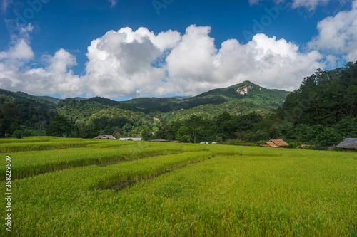 Beautiful rice paddy surrounded by mountains in Chiang Mai province, Thailand