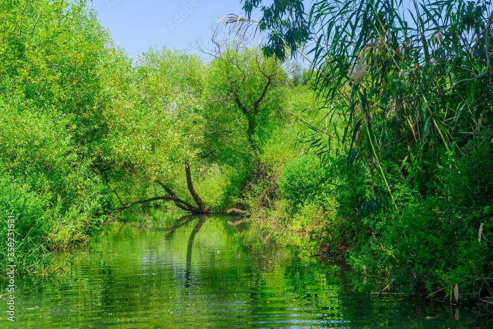 Daliyot stream, in the Majrase - Betiha Nature Reserve