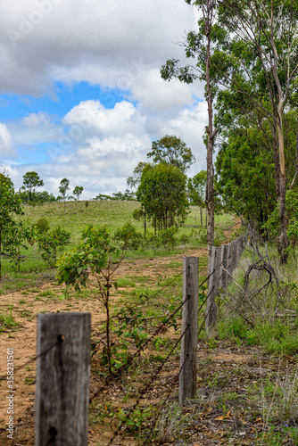 Grass field with barb wire fence in the foreground