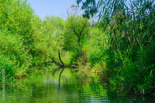 Daliyot stream  in the Majrase - Betiha Nature Reserve