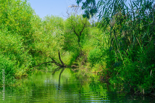 Daliyot stream, in the Majrase - Betiha Nature Reserve