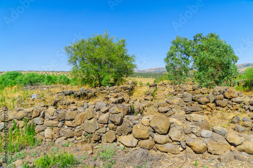 Ancient site of Bethsaida (Beit Tzeida)