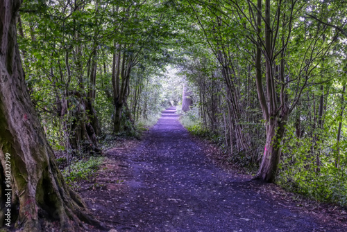 Wanderweg in den Stever-Auen bei Lüdinghausen photo