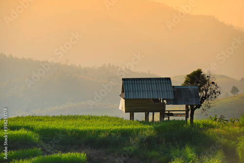Beautiful sunset with fresh natural green rice paddy field and little hut on the Doi Inthanon Mountain Chiang Mai, Thailand © pomphotothailand