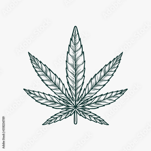 Hand drawing vintage monochrome marijuana vector illustration