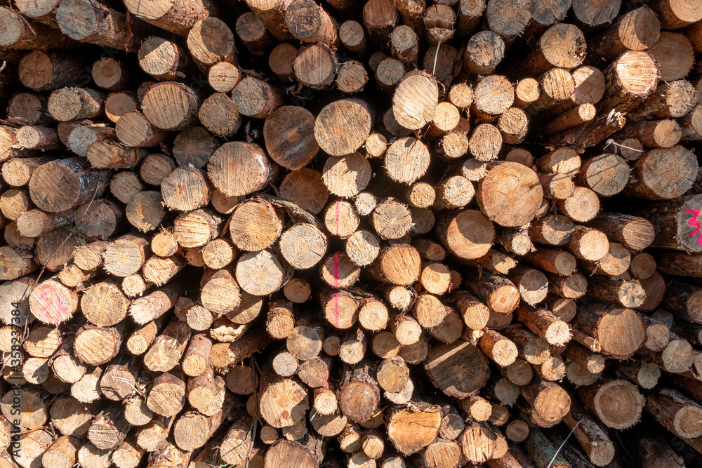Cut wood on top of each other Cut wood on top of each other