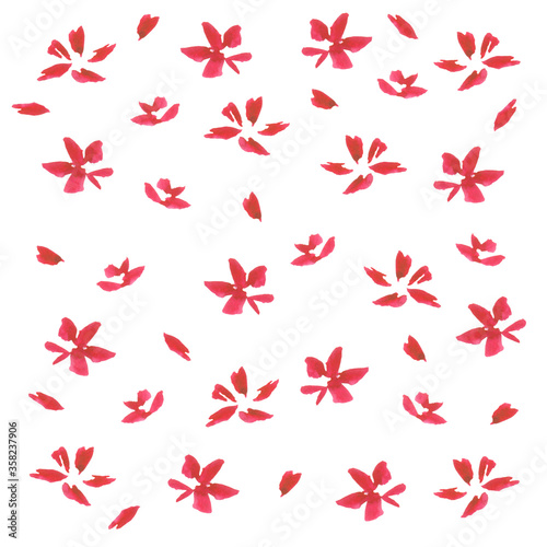 red flowers with petals on white background