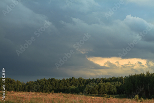 Beautiful summer landscape of nature countryside. Green vegetation of grass and trees with hills. Stock photo for design