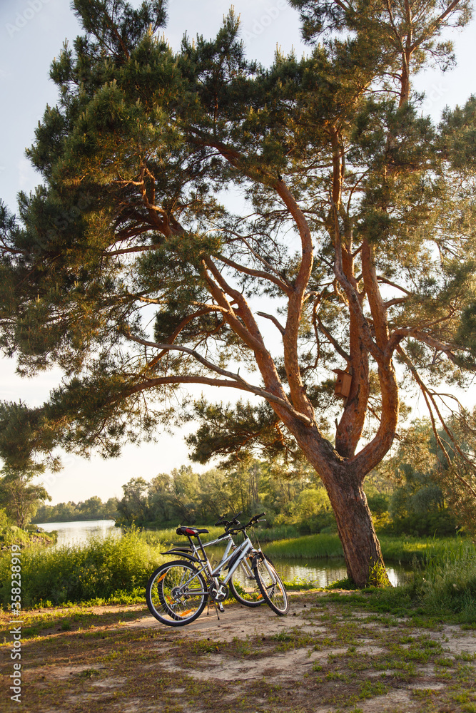 bike on the beach in sunset sunlight. bicycle riding. Sport lifestyle. Eco friendly transport. Bicycle Parked In beautiful nature place near tree. Camping Trip. Enjoying of freedom & nature on bicycle