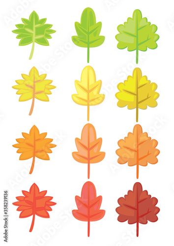 Set of autumn leaves isolated on white background. Flat isolated vector illustration.