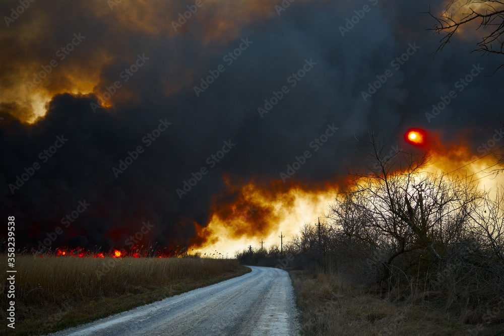 Wildfires. Burning estuary. Fire in the steppe.