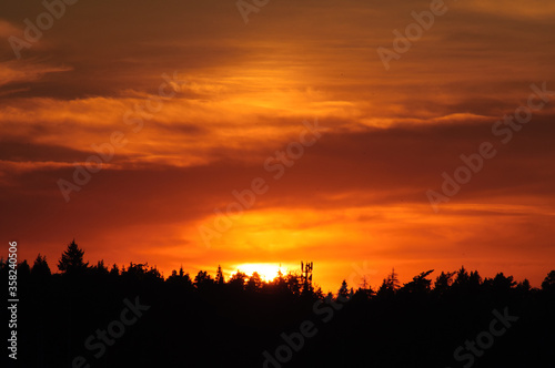 Flaming sunset over the treetops