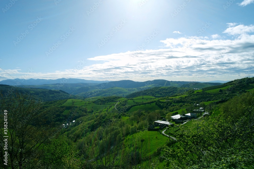 Fototapeta premium SAMSUNG CAMERA PICTURES