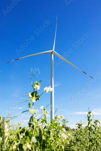 The use of renewable energy. Wind turbines on farm fields. © Serjik Ahkhundov