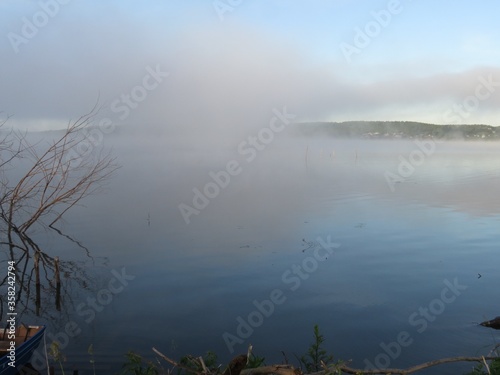 Wet grass on a lake coast in foggy morning