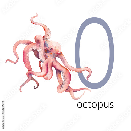 Animals alphabet. O for octopus. Watercolor letters illustration isolated on white background
