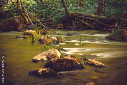 Stream in a forest photo