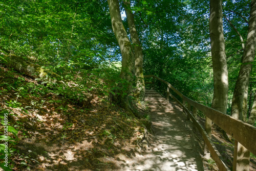 Wanderweg mit Treppen durch das Neandertal bei Mettmann