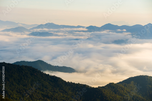 View of forest with foggy at the morning  Nature Background  Nature background