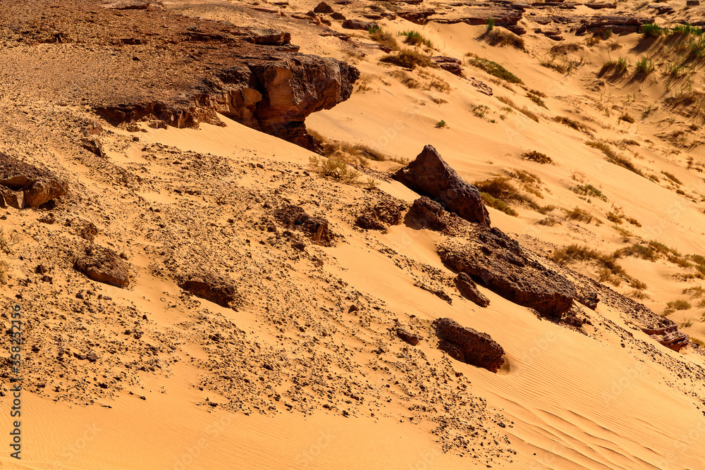 Nature of Timimoun, Adrar Province, Algeria. Nature of Timimoun, Adrar Province, Algeria.