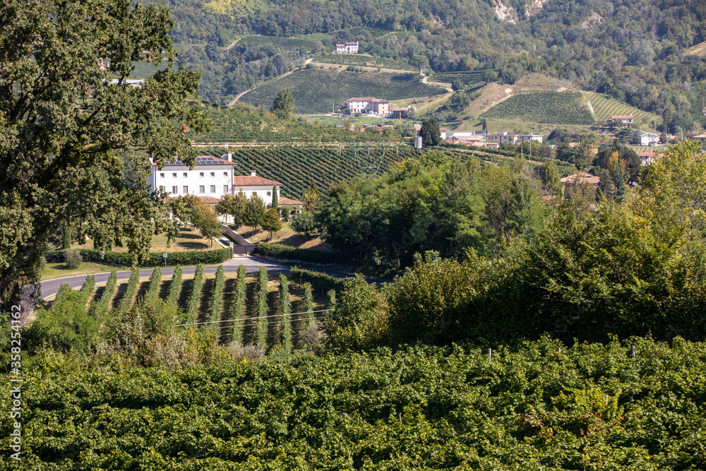 Picturesque hills with vineyards of the Prosecco sparkling wine region between Valdobbiadene and Conegliano; Italy.