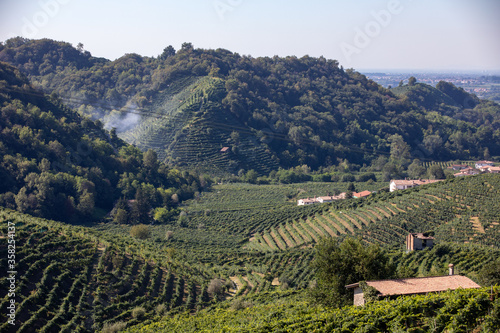 Picturesque hills with vineyards of the Prosecco sparkling wine region between Valdobbiadene and Conegliano; Italy.