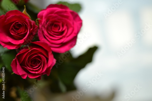 bouquet of red roses
