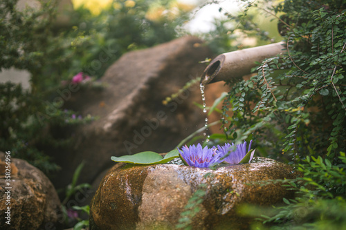 Photography Beautiful zen garden with lotus flower and bamboo fountain on nature background
