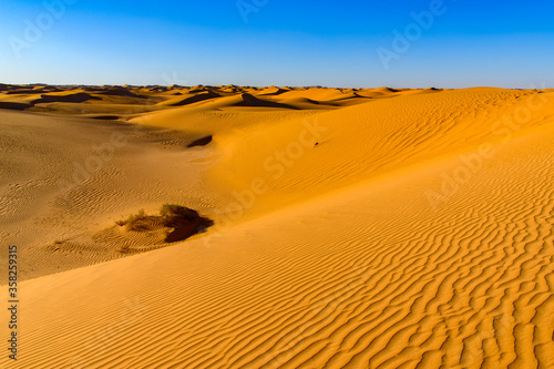 Amazing view of the Sahara desert