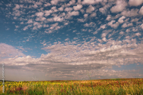 Bright yellow-green field under a colorful sky.