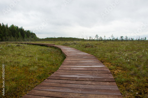 wooden path in the field