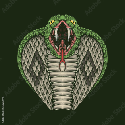 Hand drawing vintage cobra head vector illustration