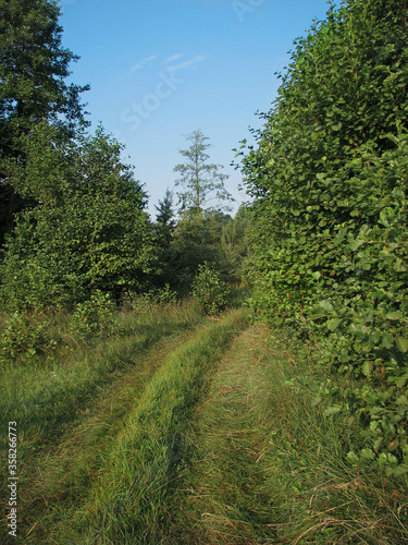 Field in the road among the hills. Landscape in nature in the reserve in the park. Stock photo background